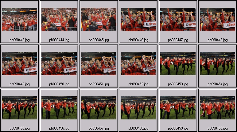 utah dance cheer squad