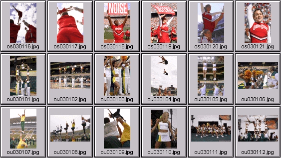 buckeye and duck cheerleading pictures