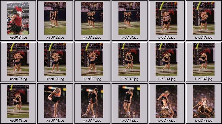 sdsu idaho state cheer