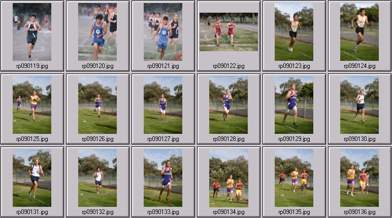 men's cross country