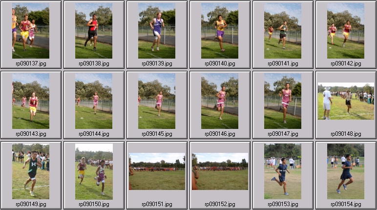 men's cross country