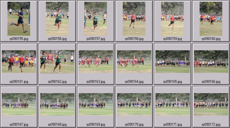 men's cross country