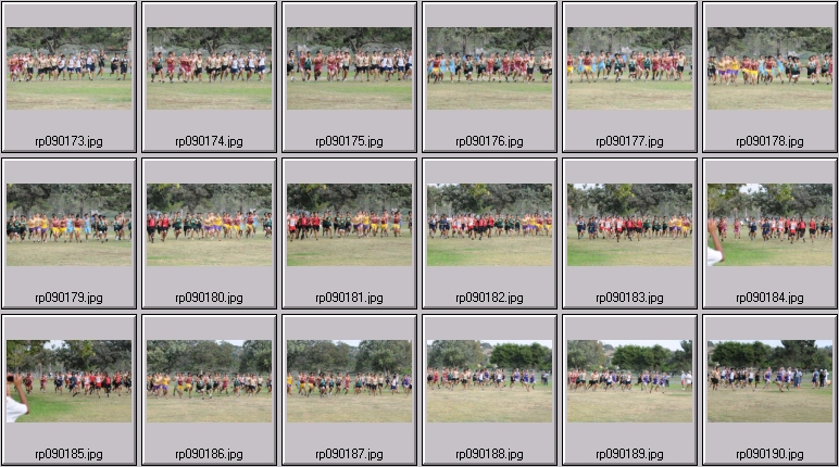 men's cross country