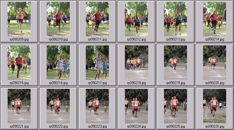 men's cross country