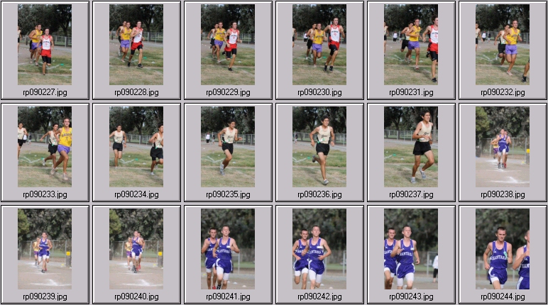 men's cross country