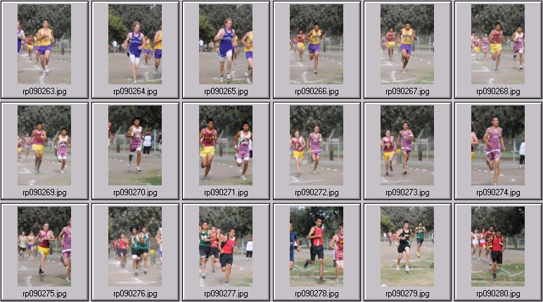 men's cross country