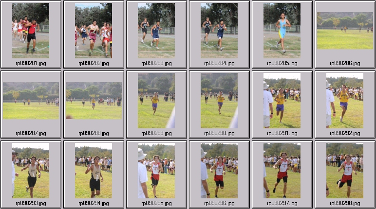 men's cross country