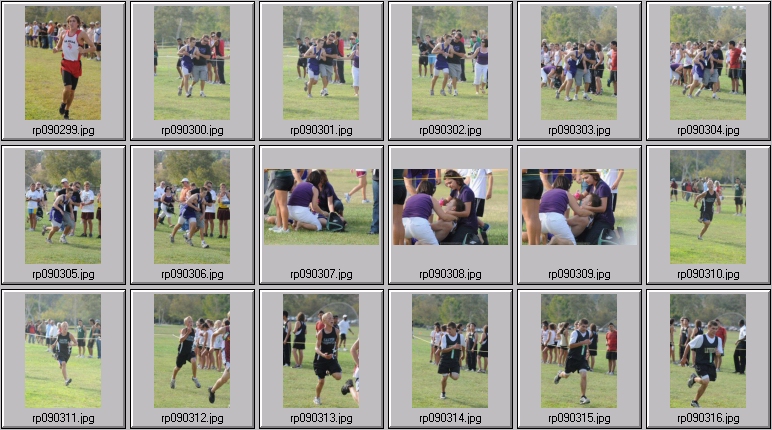 men's cross country