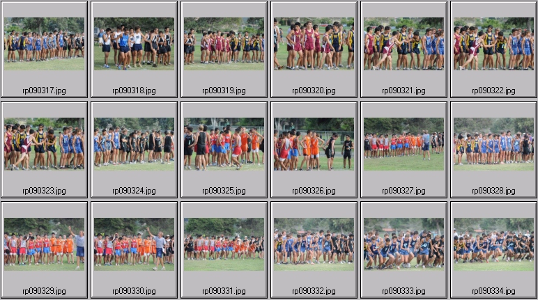 men's cross country