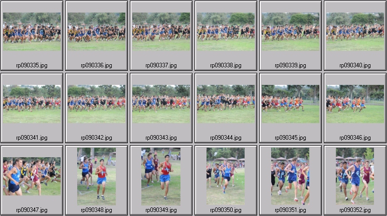 men's cross country