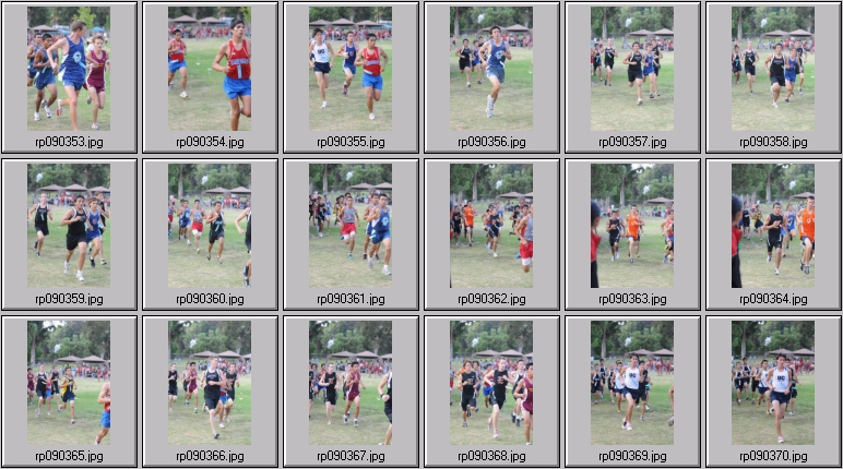 men's cross country