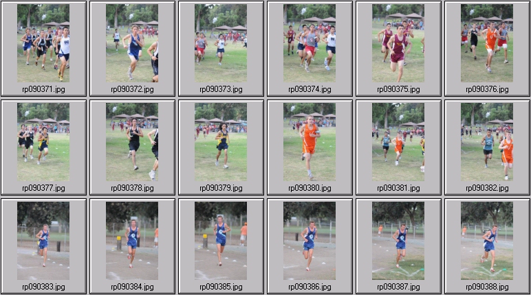 men's cross country