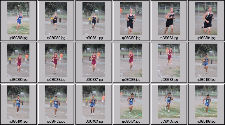 men's cross country
