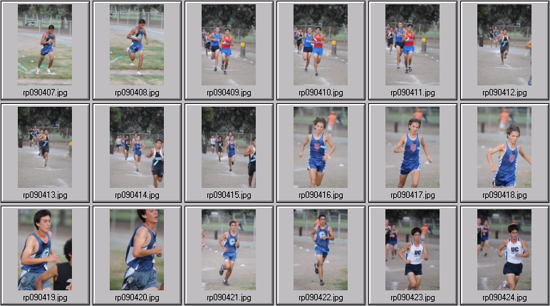 men's cross country