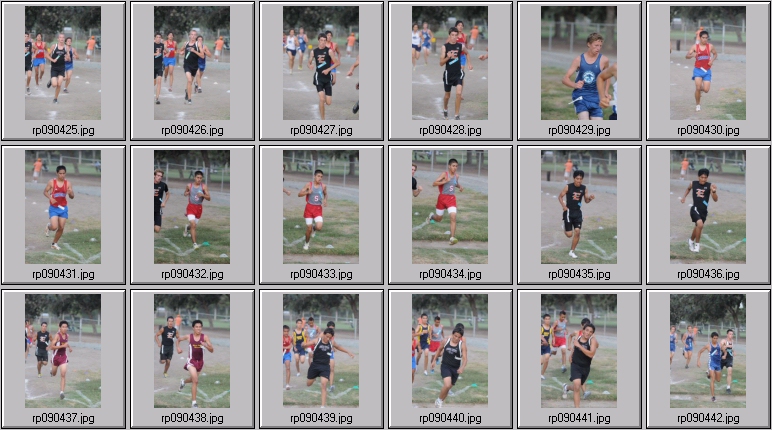 men's cross country