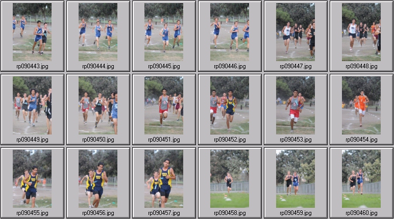 men's cross country