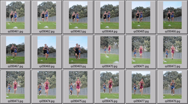 men's cross country
