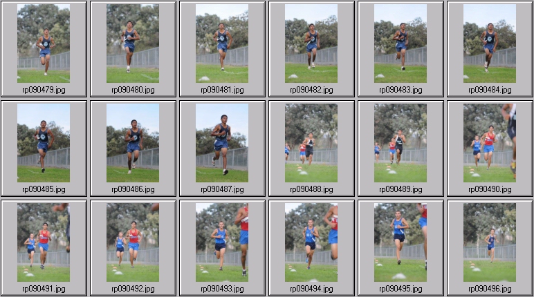 men's cross country