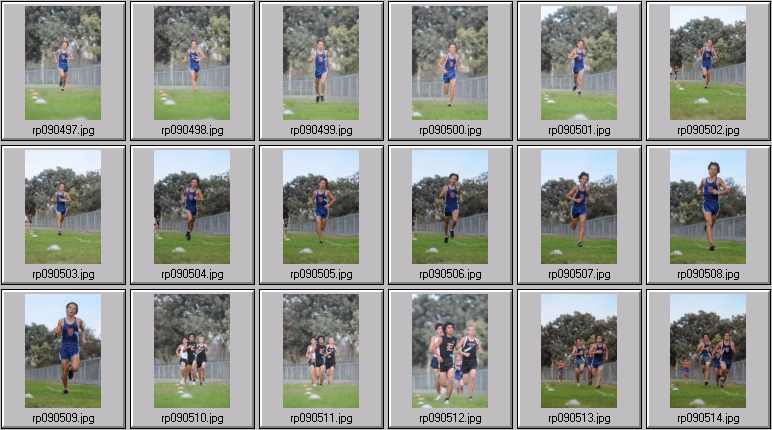 men's cross country