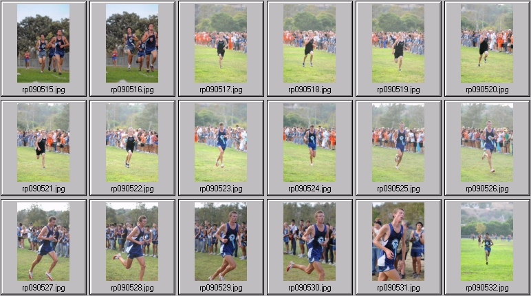 men's cross country