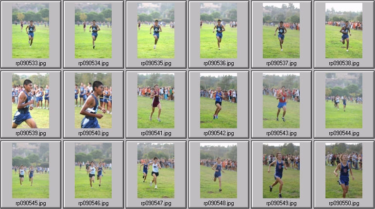 men's cross country
