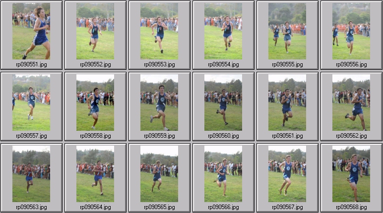 men's cross country