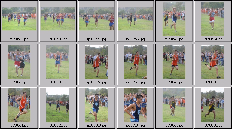 men's cross country