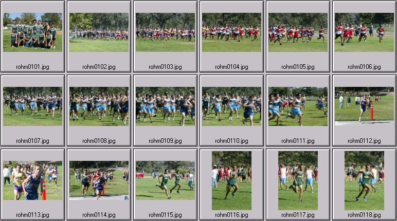 men's cross country