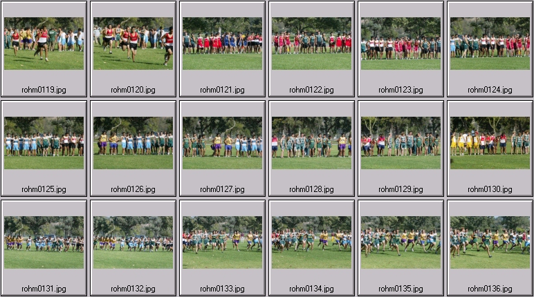 men's cross country