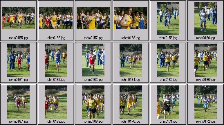 men's cross country