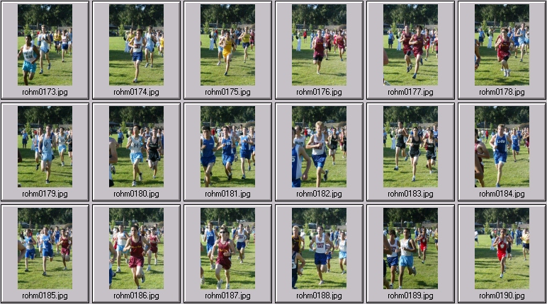 men's cross country