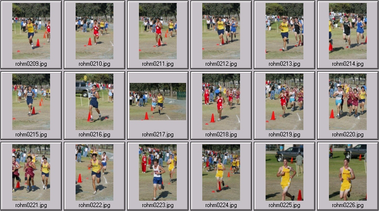 men's cross country
