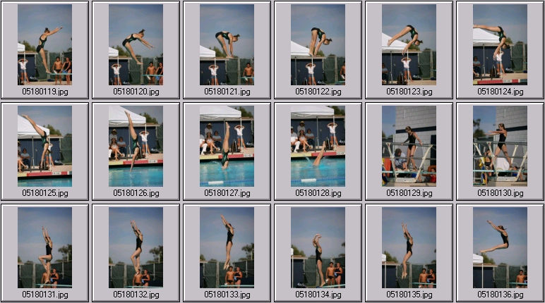 womens springboard diving photos