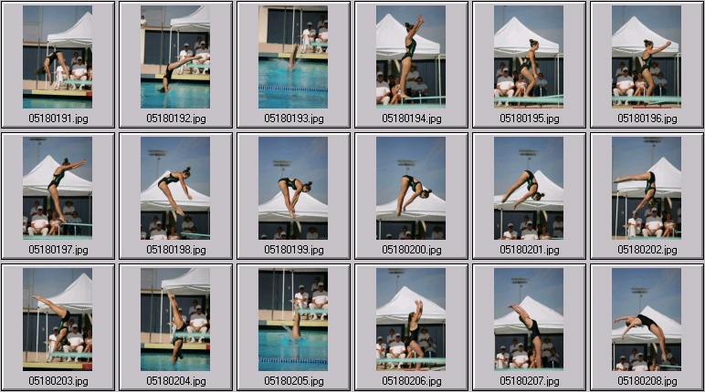 womens springboard diving photos
