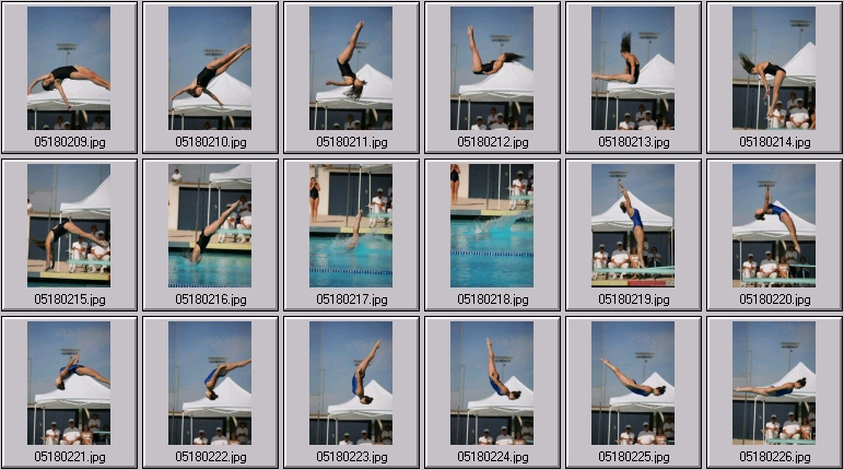 womens springboard diving photos
