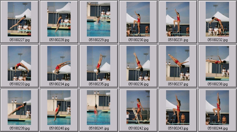 womens springboard diving photos