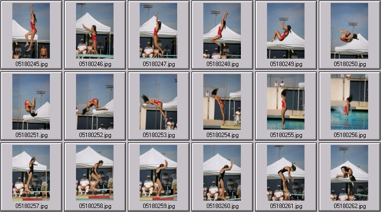 womens springboard diving photos