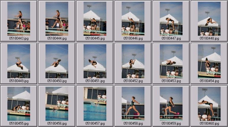 womens springboard diving