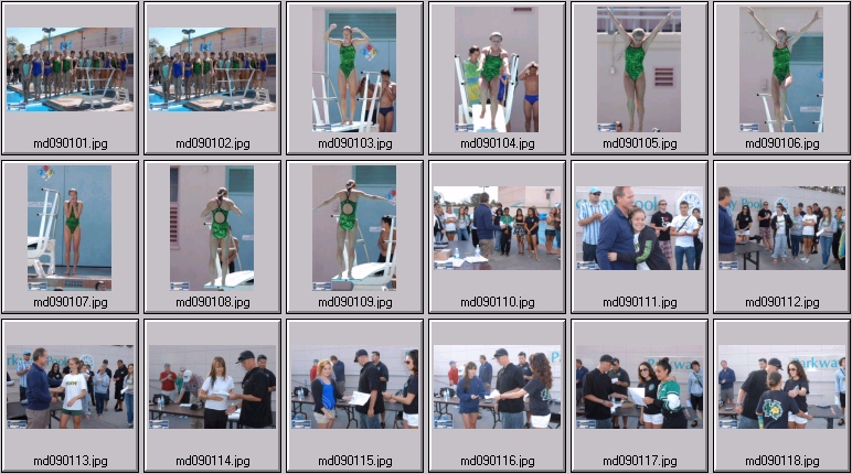 womens springboard diving