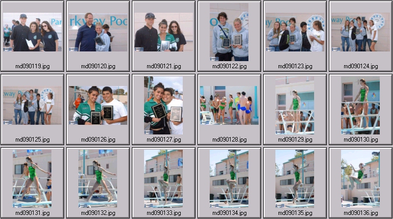 womens springboard diving