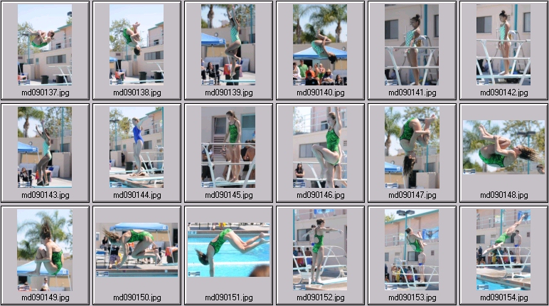 womens springboard diving