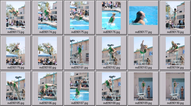 womens springboard diving
