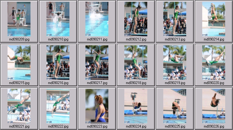 womens springboard diving