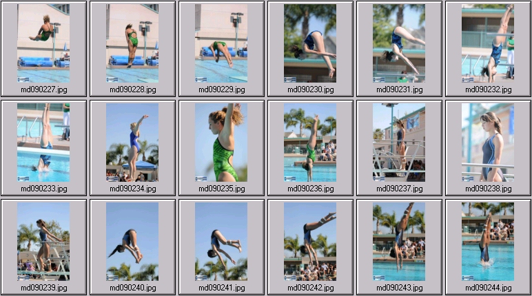 womens springboard diving