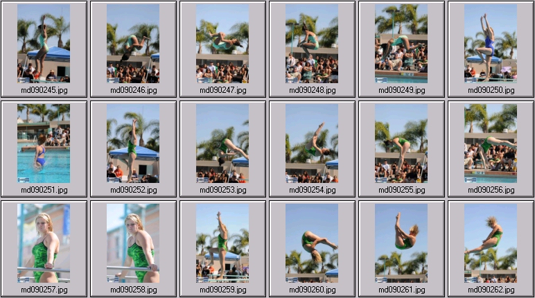 womens springboard diving