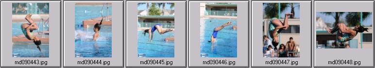 womens springboard diving