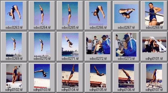womens diving photos