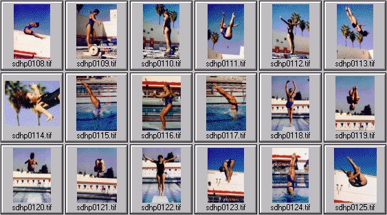 womens diving photos