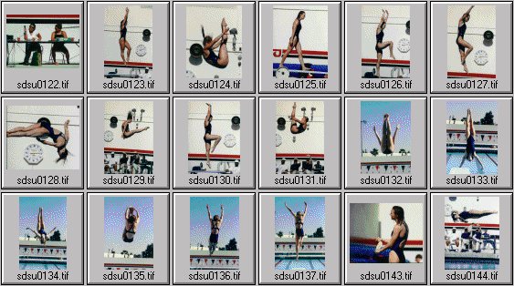 NCAA women's diving photos