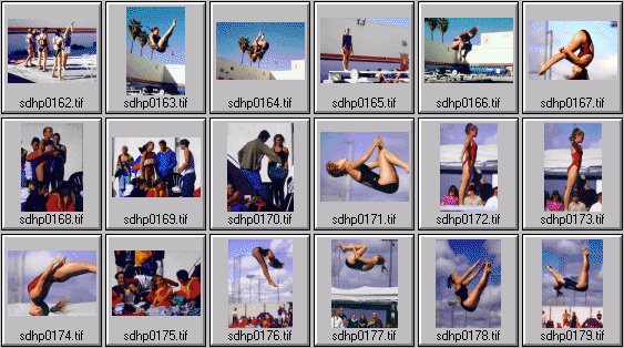 prep womens diving photos